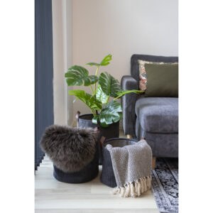 Augusta Kurv – Grå – House Nordic Kurve 2