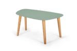 Endocarp Sofabord 80x48x40cm Salviegrøn / Asketræ - Kategori: 4 Endocarp Sofabord 80x48x40cm Salviegrøn / Asketræ