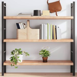 vidaXL væghylde 120x40x(2-4) cm behandlet massivt egetræ lysebrun