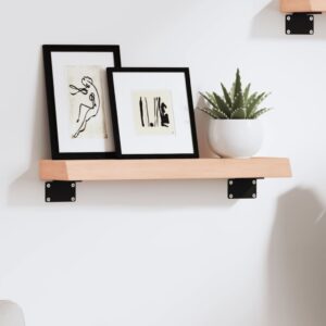 vidaXL væghylde 40x10x4 cm ubehandlet massivt egetræ