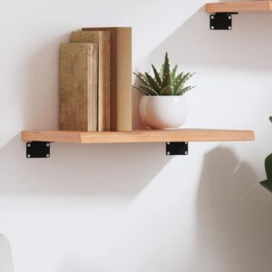 vidaXL væghylde 40x30x2 cm behandlet massivt egetræ lysebrun
